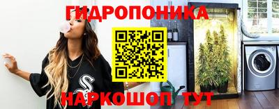 шишки Балаково