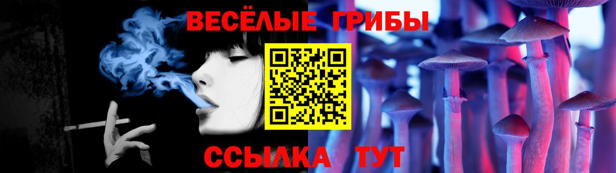 Галлюциногенные грибы GOLDEN TEACHER  Вход с VPN  Домодедово 